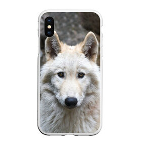 Чехол для iPhone XS Max матовый с принтом Волк в Белгороде, Силикон | Область печати: задняя сторона чехла, без боковых панелей | animals | wolf | волк | волки | животные | звери | зверь | луна | одиночество | одиночка | пёс | собака