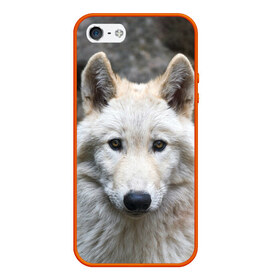 Чехол для iPhone 5/5S матовый с принтом Волк в Белгороде, Силикон | Область печати: задняя сторона чехла, без боковых панелей | animals | wolf | волк | волки | животные | звери | зверь | луна | одиночество | одиночка | пёс | собака