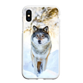 Чехол для iPhone XS Max матовый с принтом Я зимой в Белгороде, Силикон | Область печати: задняя сторона чехла, без боковых панелей | animals | wolf | волк | волки | животные | звери | зверь | луна | одиночество | одиночка | пёс | собака