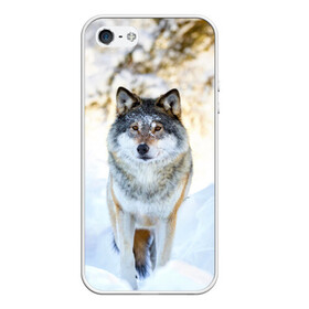 Чехол для iPhone 5/5S матовый с принтом Я зимой в Белгороде, Силикон | Область печати: задняя сторона чехла, без боковых панелей | animals | wolf | волк | волки | животные | звери | зверь | луна | одиночество | одиночка | пёс | собака