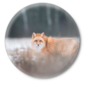 Значок с принтом Лиса в Белгороде,  металл | круглая форма, металлическая застежка в виде булавки | fox | foxy | животное | звери | лиса | лисенок | лисичка | милая | рыжая | фокс