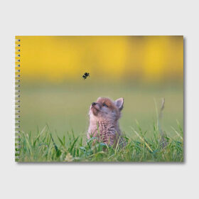Альбом для рисования с принтом Лисенок и пчелка в Белгороде, 100% бумага
 | матовая бумага, плотность 200 мг. | Тематика изображения на принте: fox | foxy | животное | звери | лиса | лисенок | лисичка | милая | рыжая | фокс