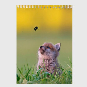Скетчбук с принтом Лисенок и пчелка в Белгороде, 100% бумага
 | 48 листов, плотность листов — 100 г/м2, плотность картонной обложки — 250 г/м2. Листы скреплены сверху удобной пружинной спиралью | Тематика изображения на принте: fox | foxy | животное | звери | лиса | лисенок | лисичка | милая | рыжая | фокс