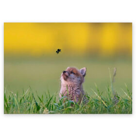 Поздравительная открытка с принтом Лисенок и пчелка в Белгороде, 100% бумага | плотность бумаги 280 г/м2, матовая, на обратной стороне линовка и место для марки
 | Тематика изображения на принте: fox | foxy | животное | звери | лиса | лисенок | лисичка | милая | рыжая | фокс