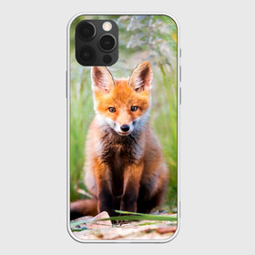 Чехол для iPhone 12 Pro Max с принтом Лисичка в Белгороде, Силикон |  | fox | foxy | животное | звери | лиса | лисенок | лисичка | милая | рыжая | фокс
