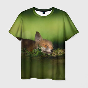 Мужская футболка 3D с принтом Сонный лисенок в Белгороде, 100% полиэфир | прямой крой, круглый вырез горловины, длина до линии бедер | Тематика изображения на принте: fox | foxy | животное | звери | лиса | лисенок | лисичка | милая | рыжая | фокс