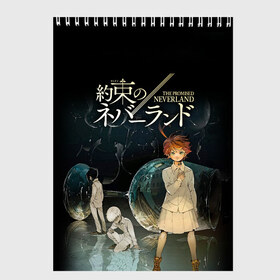 Скетчбук с принтом Обещанный Неверленд в Белгороде, 100% бумага
 | 48 листов, плотность листов — 100 г/м2, плотность картонной обложки — 250 г/м2. Листы скреплены сверху удобной пружинной спиралью | anime | the promised neverland | аниме | манга | норман | обещанная страна грёз | обещанный неверленд | рэй | эмма