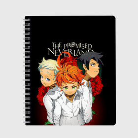 Тетрадь с принтом Обещанный Неверленд в Белгороде, 100% бумага | 48 листов, плотность листов — 60 г/м2, плотность картонной обложки — 250 г/м2. Листы скреплены сбоку удобной пружинной спиралью. Уголки страниц и обложки скругленные. Цвет линий — светло-серый
 | Тематика изображения на принте: anime | the promised neverland | аниме | манга | норман | обещанная страна грёз | обещанный неверленд | рэй | эмма