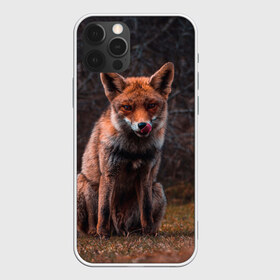 Чехол для iPhone 12 Pro Max с принтом Хищная лисица в Белгороде, Силикон |  | fox | foxy | животное | звери | лиса | лисенок | лисичка | милая | рыжая | фокс
