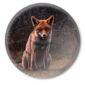 Значок с принтом Хищная лисица в Белгороде,  металл | круглая форма, металлическая застежка в виде булавки | Тематика изображения на принте: fox | foxy | животное | звери | лиса | лисенок | лисичка | милая | рыжая | фокс