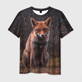Мужская футболка 3D с принтом Хищная лисица в Белгороде, 100% полиэфир | прямой крой, круглый вырез горловины, длина до линии бедер | Тематика изображения на принте: fox | foxy | животное | звери | лиса | лисенок | лисичка | милая | рыжая | фокс