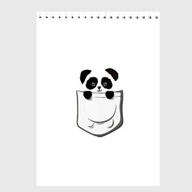 Скетчбук с принтом Панда В Кармане в Белгороде, 100% бумага
 | 48 листов, плотность листов — 100 г/м2, плотность картонной обложки — 250 г/м2. Листы скреплены сверху удобной пружинной спиралью | Тематика изображения на принте: animals | beats | head | panda | pocket | в кармане | голова | животные | звери | лапки | любовь | панда