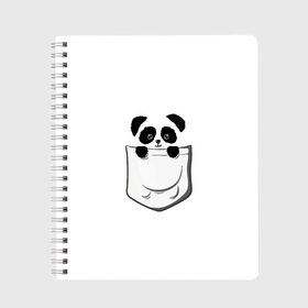 Тетрадь с принтом Панда В Кармане в Белгороде, 100% бумага | 48 листов, плотность листов — 60 г/м2, плотность картонной обложки — 250 г/м2. Листы скреплены сбоку удобной пружинной спиралью. Уголки страниц и обложки скругленные. Цвет линий — светло-серый
 | animals | beats | head | panda | pocket | в кармане | голова | животные | звери | лапки | любовь | панда