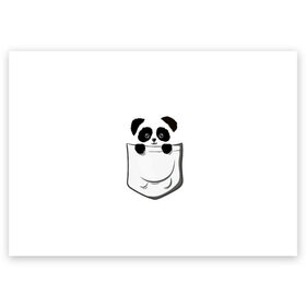 Поздравительная открытка с принтом Панда В Кармане в Белгороде, 100% бумага | плотность бумаги 280 г/м2, матовая, на обратной стороне линовка и место для марки
 | animals | beats | head | panda | pocket | в кармане | голова | животные | звери | лапки | любовь | панда