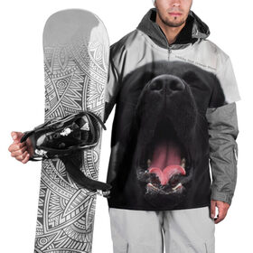 Накидка на куртку 3D с принтом Лабр Марк в Белгороде, 100% полиэстер |  | Тематика изображения на принте: dog | winter | животные | звери | зима | лабрадор | лабрадор ретривер | собаки