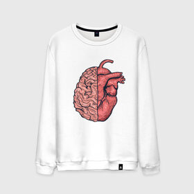 Мужской свитшот хлопок с принтом Мозг vs Сердце в Белгороде, 100% хлопок |  | art | brain | drawing | heart | арт | мозг | рисунок | сердце