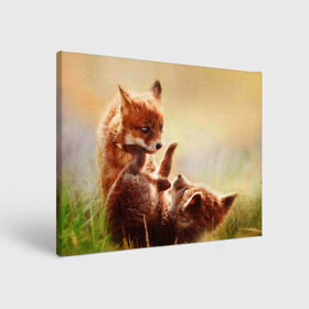 Холст прямоугольный с принтом Лисята играют в Белгороде, 100% ПВХ |  | fox | foxy | животное | звери | лиса | лисенок | лисичка | милая | рыжая | фокс