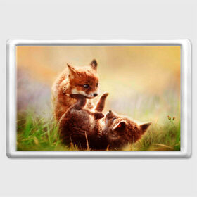 Магнит 45*70 с принтом Лисята играют в Белгороде, Пластик | Размер: 78*52 мм; Размер печати: 70*45 | Тематика изображения на принте: fox | foxy | животное | звери | лиса | лисенок | лисичка | милая | рыжая | фокс