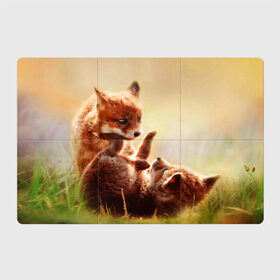 Магнитный плакат 3Х2 с принтом Лисята играют в Белгороде, Полимерный материал с магнитным слоем | 6 деталей размером 9*9 см | Тематика изображения на принте: fox | foxy | животное | звери | лиса | лисенок | лисичка | милая | рыжая | фокс