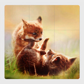 Магнитный плакат 3Х3 с принтом Лисята играют в Белгороде, Полимерный материал с магнитным слоем | 9 деталей размером 9*9 см | Тематика изображения на принте: fox | foxy | животное | звери | лиса | лисенок | лисичка | милая | рыжая | фокс