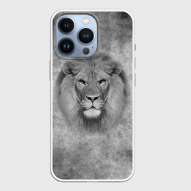 Чехол для iPhone 13 Pro с принтом Лев в Белгороде,  |  | big cat | lion | зверь | кошка | лев | львенок | львица | хищник | царь зверей