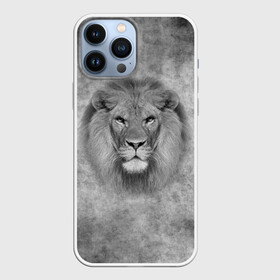 Чехол для iPhone 13 Pro Max с принтом Лев в Белгороде,  |  | big cat | lion | зверь | кошка | лев | львенок | львица | хищник | царь зверей