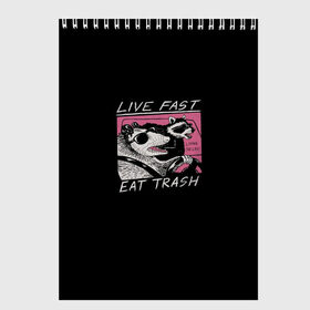 Скетчбук с принтом Live fast Eat trash в Белгороде, 100% бумага
 | 48 листов, плотность листов — 100 г/м2, плотность картонной обложки — 250 г/м2. Листы скреплены сверху удобной пружинной спиралью | eat | fast | live | snap | snap collection | trash | быстро | еда | енот | жизнь | мода | мусор | опоссум | очки