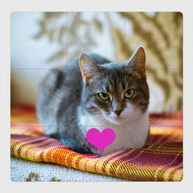 Магнитный плакат 3Х3 с принтом действительно любит меня в Белгороде, Полимерный материал с магнитным слоем | 9 деталей размером 9*9 см | взгляд | кот | кошатникам | любит меня | люблю его | люблю котов | одиночкам | плед | романтика | сердечко | сердце | уют