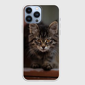 Чехол для iPhone 13 Pro Max с принтом мой внутренний зверь в Белгороде,  |  | взгляд | внутренний | глаза | животные | зверы | зверь | кот | котейка | котик | коты | котэ | кошки | лапы | нос | образ | прыжок | смотрит в душу | усы | уши | шерсть