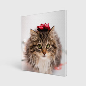 Холст квадратный с принтом я лучший подарочек в Белгороде, 100% ПВХ |  | бантик | взгляд | глаза | животные | звери | зверь | киса | кисонька | кот | котейка | котик | коты | котэ | кошки | лапы | нос | подарок | подарочек | сюрприз | усы | уши | шерсть