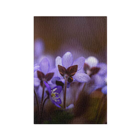 Обложка для паспорта матовая кожа с принтом хрупкий цветок фиалка в Белгороде, натуральная матовая кожа | размер 19,3 х 13,7 см; прозрачные пластиковые крепления | Тематика изображения на принте: flowers | весна | лиловый | макро | нежный | природа | рост | свежесть | сиреневый | фиолетовый | хрупкий | цветик | цветок | цветочек | цветы