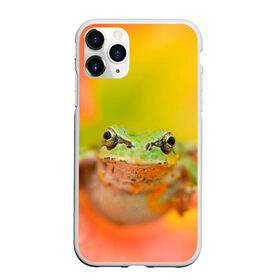 Чехол для iPhone 11 Pro матовый с принтом лягушка в цветке мило в Белгороде, Силикон |  | жаба | жабка | земноводное | ква | квакуха | лягушенок | лягушка | макро | мило | природа | пыльца | цветок