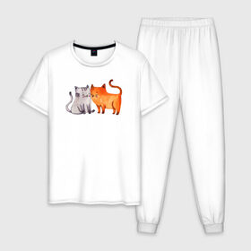 Мужская пижама хлопок с принтом Парочка в Белгороде, 100% хлопок | брюки и футболка прямого кроя, без карманов, на брюках мягкая резинка на поясе и по низу штанин
 | влюбленные | котики | кошки | любовь | полосатый