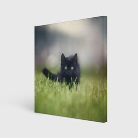 Холст квадратный с принтом черный кот на лугу в Белгороде, 100% ПВХ |  | взгляд | внутренний | глаза | животные | звери | зверь | кот | котейка | котик | коты | котэ | кошки | лапы | нос | образ | прыжок | смотрит в душу | усы | уши | черный | черныш | шерсть
