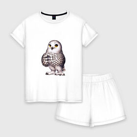 Женская пижама с шортиками хлопок с принтом мудрая сова в Белгороде, 100% хлопок | футболка прямого кроя, шорты свободные с широкой мягкой резинкой | знания | крылья | мудрая | мудрость | птица | птичка | сова | совенок | совушка | сыч | филин | философ | хитрая