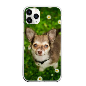 Чехол для iPhone 11 Pro Max матовый с принтом Маленькая собака в ромашках в Белгороде, Силикон |  | домашний питомец | куст | луг | малыш | нос | песик | поле | ромашки | собака | собаколюб | собачка | собачникам | уши | цветы | четвероногий друг | щенок | язык