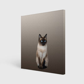 Холст квадратный с принтом Сиамский кот голубые глаза в Белгороде, 100% ПВХ |  | Тематика изображения на принте: арт | бежевый | градиент | киса | коричневый | кот | котейка | котенок | котик | котэ | кошка | реализм | сиамец | сиамский