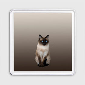 Магнит 55*55 с принтом Сиамский кот голубые глаза в Белгороде, Пластик | Размер: 65*65 мм; Размер печати: 55*55 мм | Тематика изображения на принте: арт | бежевый | градиент | киса | коричневый | кот | котейка | котенок | котик | котэ | кошка | реализм | сиамец | сиамский