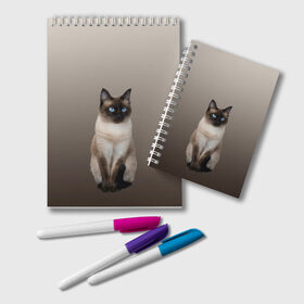 Блокнот с принтом Сиамский кот голубые глаза в Белгороде, 100% бумага | 48 листов, плотность листов — 60 г/м2, плотность картонной обложки — 250 г/м2. Листы скреплены удобной пружинной спиралью. Цвет линий — светло-серый
 | арт | бежевый | градиент | киса | коричневый | кот | котейка | котенок | котик | котэ | кошка | реализм | сиамец | сиамский