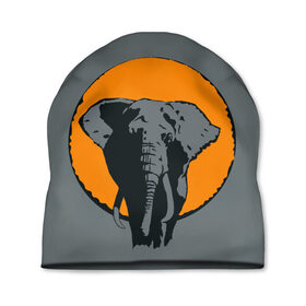 Шапка 3D с принтом Африканский Слон в Белгороде, 100% полиэстер | универсальный размер, печать по всей поверхности изделия | африка | графика | дикий мир | животное | персонаж | природа | рисунок | слон