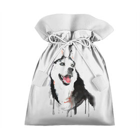 Подарочный 3D мешок с принтом Хаски красками в Белгороде, 100% полиэстер | Размер: 29*39 см | Тематика изображения на принте: dogs | рисунок | собаки | хаски | щенок