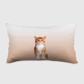 Подушка 3D антистресс с принтом бело-рыжий котенок реализм в Белгороде, наволочка — 100% полиэстер, наполнитель — вспененный полистирол | состоит из подушки и наволочки на молнии | Тематика изображения на принте: cat | kitten | бело рыжий | градиент | кот | котейка | котенок | котеночек | котик | котофей | котэ | кошка | малыш | милаш | мяу | нэко | реализм | рыже белый