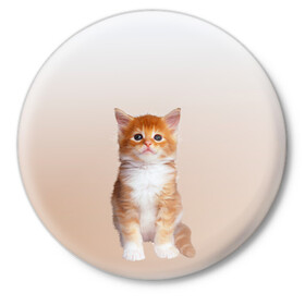 Значок с принтом бело-рыжий котенок реализм в Белгороде,  металл | круглая форма, металлическая застежка в виде булавки | Тематика изображения на принте: cat | kitten | бело рыжий | градиент | кот | котейка | котенок | котеночек | котик | котофей | котэ | кошка | малыш | милаш | мяу | нэко | реализм | рыже белый