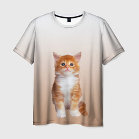 Мужская футболка 3D с принтом бело-рыжий котенок реализм в Белгороде, 100% полиэфир | прямой крой, круглый вырез горловины, длина до линии бедер | cat | kitten | бело рыжий | градиент | кот | котейка | котенок | котеночек | котик | котофей | котэ | кошка | малыш | милаш | мяу | нэко | реализм | рыже белый