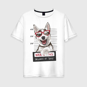 Женская футболка хлопок Oversize с принтом Задержанный хаски в Белгороде, 100% хлопок | свободный крой, круглый ворот, спущенный рукав, длина до линии бедер
 | очки | преступник | собака | улыбака | улыбка | хаски | хипстер