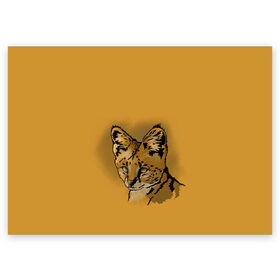 Поздравительная открытка с принтом Сервал в Белгороде, 100% бумага | плотность бумаги 280 г/м2, матовая, на обратной стороне линовка и место для марки
 | африка | графика | дикий мир | животное | кошка | персонаж | природа | рисунок | хищник
