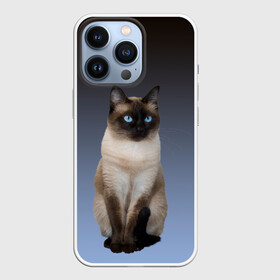 Чехол для iPhone 13 Pro с принтом сиамская милая кошечка в Белгороде,  |  | cat | kitten | голубые глаза | градиент | кот | котейка | котик | кошечка | кошка | милая | мяу | сиамская | сиамский