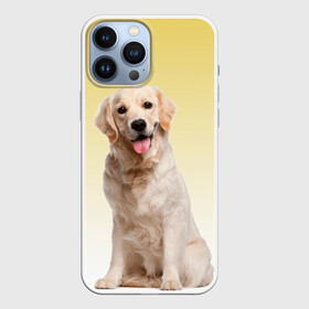 Чехол для iPhone 13 Pro Max с принтом Лабрадор ретривер пес в Белгороде,  |  | домашние любимцы | друг | животные | золотистый ретривер | лабрадор | пес | питомец | породистый | собака