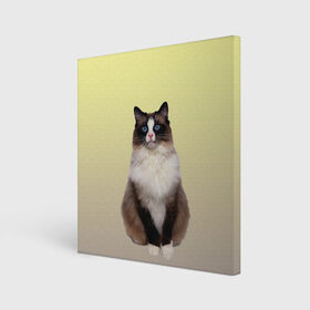 Холст квадратный с принтом персидская пушистая кошка в Белгороде, 100% ПВХ |  | ветеринар | градиент | домашний питомец | котейка | котик | коты | котэ | кошатник | кошатница | кошачьи | кошки | любитель животных | мяу | нэко | персидская | сиамская | смесь | шаблон