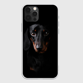 Чехол для iPhone 12 Pro Max с принтом ТАКСА в Белгороде, Силикон |  | Тематика изображения на принте: animal | black | dog | photo | глаза | домашние | животные | звери | пес | собакен | собаки | такса | черный